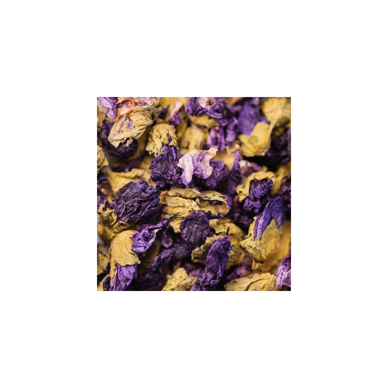 Mauve bio fleur 20g de Herboristerie et Esotérisme à Libourne dans 🫖 Thés, tisanes et infusions