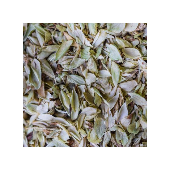Origan bio feuille 40g de Herboristerie et Esotérisme à Libourne dans 🫖 Thés, tisanes et infusions