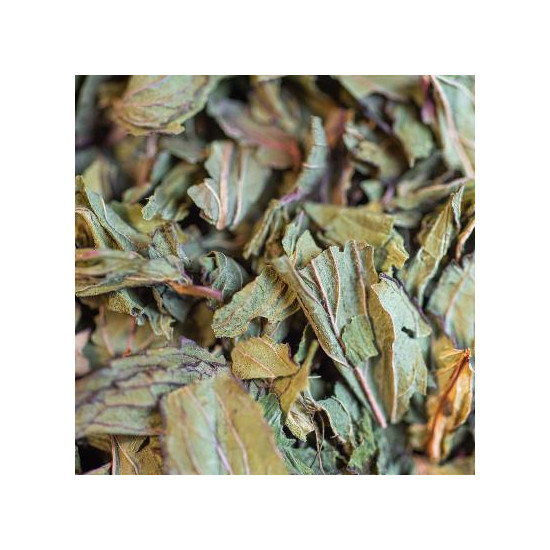 Ortie bio feuille et tige 40g de Herboristerie et Esotérisme à Libourne dans 🫖 Thés, tisanes et infusions