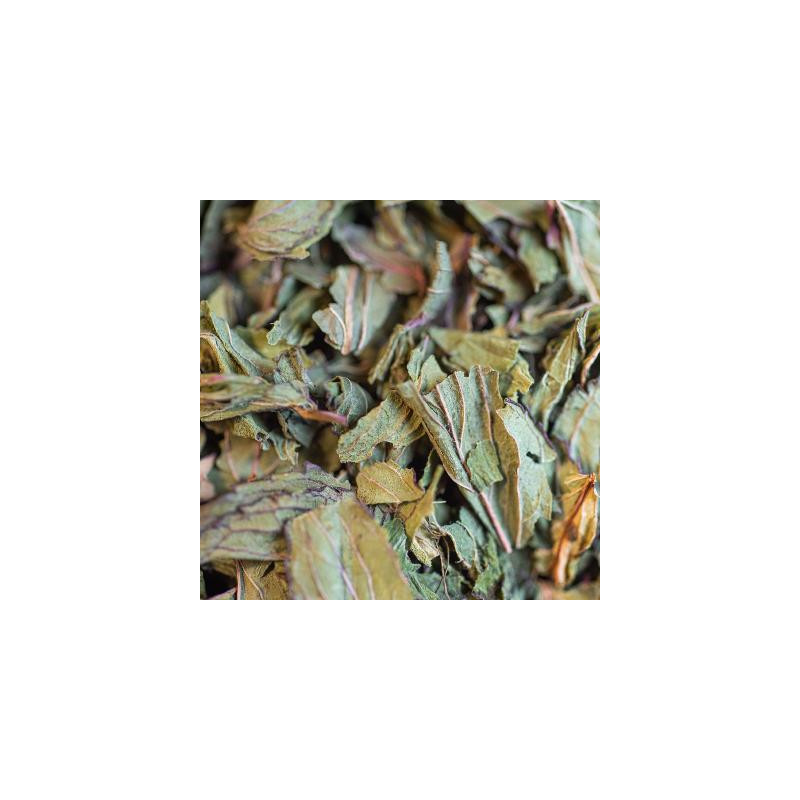 Ortie bio feuille et tige 40g de Herboristerie et Esotérisme à Libourne dans 🫖 Thés, tisanes et infusions
