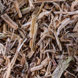 Ortie bio racine 50g de Herboristerie et Esotérisme à Libourne dans 🫖 Thés, tisanes et infusions