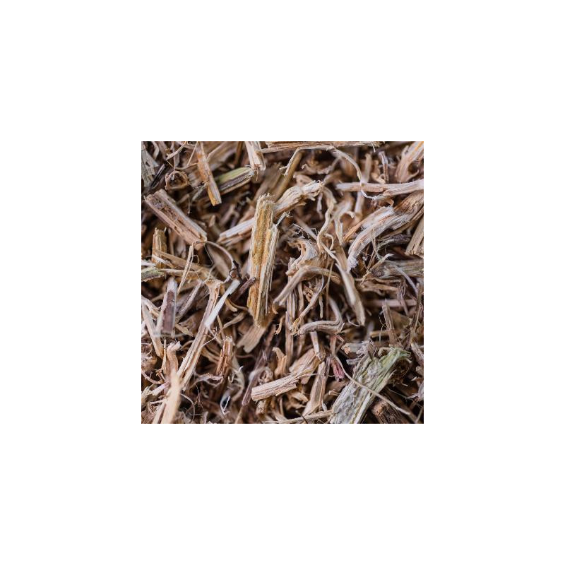 Ortie bio racine 50g de Herboristerie et Esotérisme à Libourne dans 🫖 Thés, tisanes et infusions