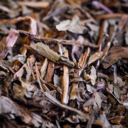 Pissenlit bio feuille 30g de Herboristerie et Esotérisme à Libourne dans 🫖 Thés, tisanes et infusions