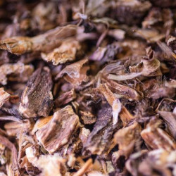 Pissenlit bio racine 50g de Herboristerie et Esotérisme à Libourne dans 🫖 Thés, tisanes et infusions