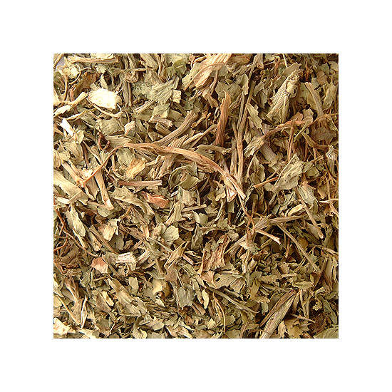 Plantain bio feuille 40g de Herboristerie et Esotérisme à Libourne dans 🫖 Thés, tisanes et infusions