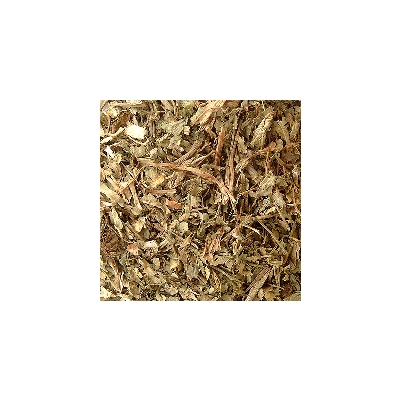 Plantain bio feuille 40g de Herboristerie et Esotérisme à Libourne dans 🫖 Thés, tisanes et infusions