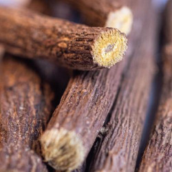 Reglisse bio baton 10cm 50g de Herboristerie et Esotérisme à Libourne dans 🫖 Thés, tisanes et infusions