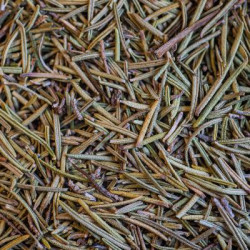 Romarin bio feuille 1er choix 60g de Herboristerie et Esotérisme à Libourne dans 🫖 Thés, tisanes et infusions
