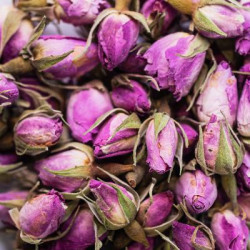 Rose de damas bio bouton 20g de Herboristerie et Esotérisme à Libourne dans 🫖 Thés, tisanes et infusions