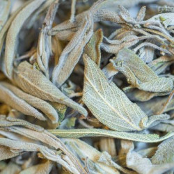 Sauge bio feuille 25g de Herboristerie et Esotérisme à Libourne dans 🫖 Thés, tisanes et infusions