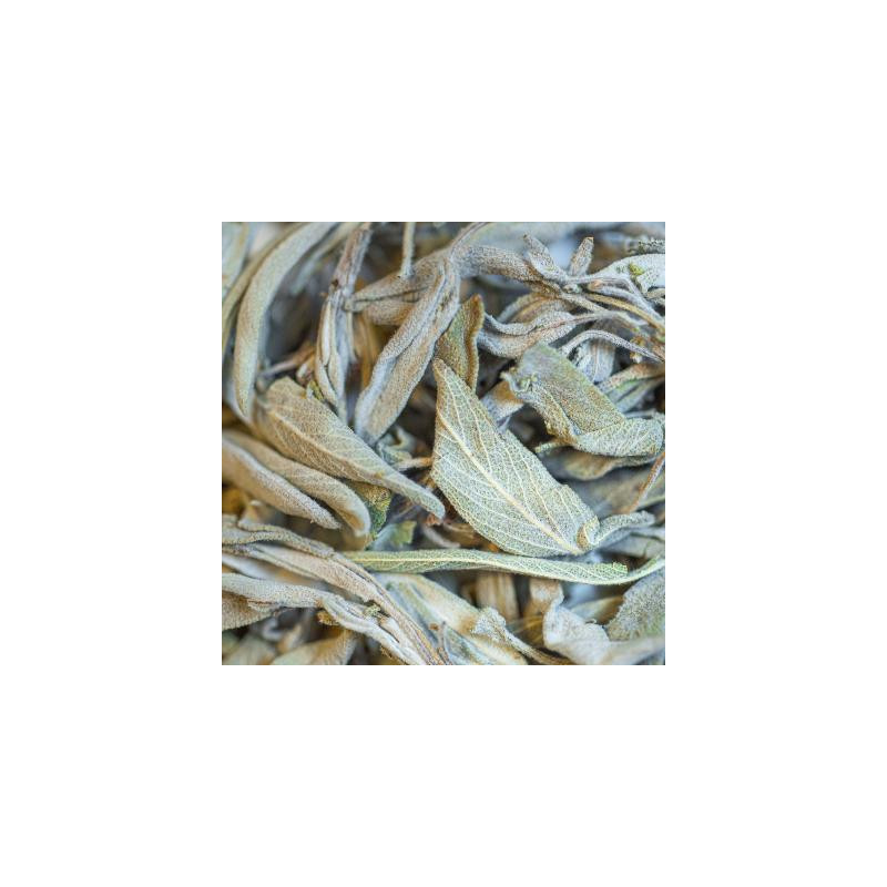 Sauge bio feuille 25g de Herboristerie et Esotérisme à Libourne dans 🫖 Thés, tisanes et infusions