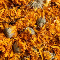 Souci bio fleur 25g de Herboristerie et Esotérisme à Libourne dans 🫖 Thés, tisanes et infusions