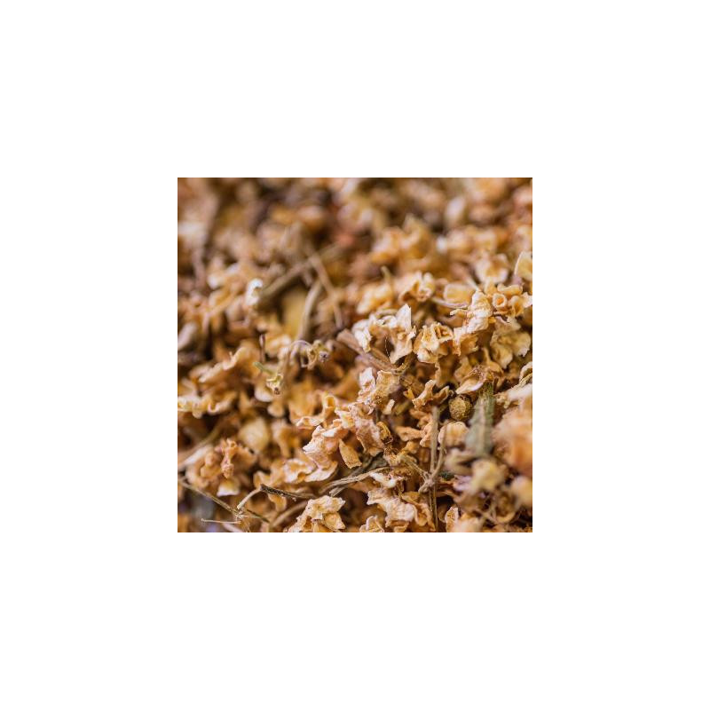 Sureau bio fleur 30g de Herboristerie et Esotérisme à Libourne dans 🫖 Thés, tisanes et infusions
