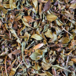 Thym citron bio feuille france 50g de Herboristerie et Esotérisme à Libourne dans 🫖 Thés, tisanes et infusions