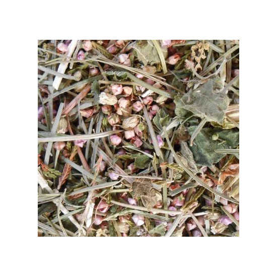Tisane 1001 plantes - origine correze de Herboristerie et Esotérisme à Libourne dans 🫖 Thés, tisanes et infusions
