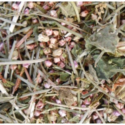 Tisane 1001 plantes - origine correze de Herboristerie et Esotérisme à Libourne dans 🫖 Thés, tisanes et infusions