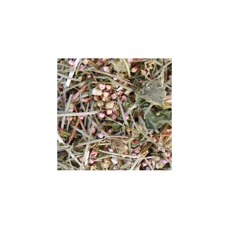 Tisane 1001 plantes - origine correze de Herboristerie et Esotérisme à Libourne dans 🫖 Thés, tisanes et infusions