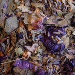 Tisane a vos souhaits bio 50g de Herboristerie et Esotérisme à Libourne dans 🫖 Thés, tisanes et infusions