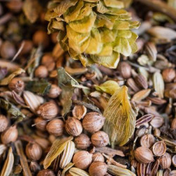 Tisane allaitement bio 50g de Herboristerie et Esotérisme à Libourne dans 🫖 Thés, tisanes et infusions