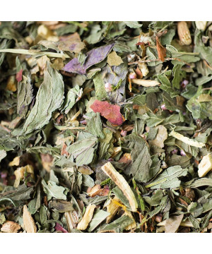 Tisane glacee mentholee bio 60g de Herboristerie et Esotérisme à Libourne dans 🫖 Thés, tisanes et infusions