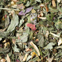 Tisane glacee mentholee bio 60g de Herboristerie et Esotérisme à Libourne dans 🫖 Thés, tisanes et infusions