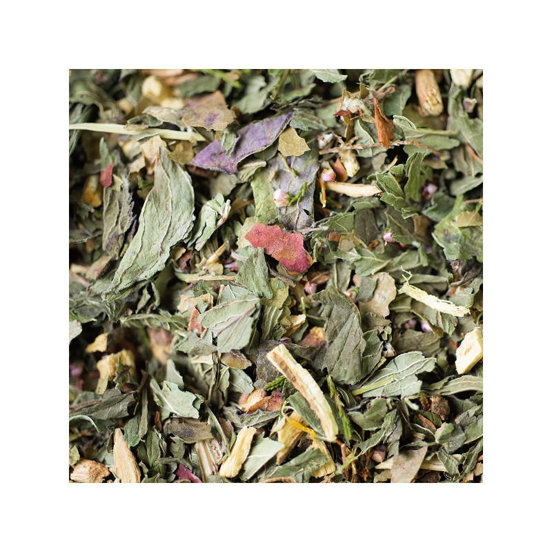 Tisane glacee mentholee bio 60g de Herboristerie et Esotérisme à Libourne dans 🫖 Thés, tisanes et infusions