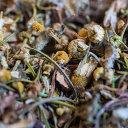 Tisane l'hepatante bio 50g de Herboristerie et Esotérisme à Libourne dans 🫖 Thés, tisanes et infusions
