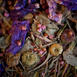 Tisane silhouette bio maxi paquet 200g de Herboristerie et Esotérisme à Libourne dans 🫖 Thés, tisanes et infusions