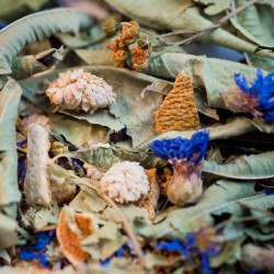 Tisane traditionnelle du soir bio maxi paquet 10 de Herboristerie et Esotérisme à Libourne dans 🫖 Thés, tisanes et infusions