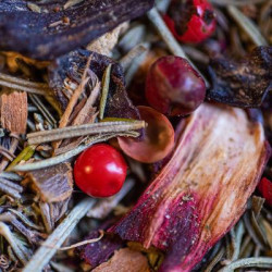 Tisane vitalite bio 60g de Herboristerie et Esotérisme à Libourne dans 🫖 Thés, tisanes et infusions