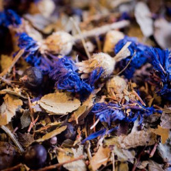 Tisane voies urinaires bio 50g de Herboristerie et Esotérisme à Libourne dans 🫖 Thés, tisanes et infusions
