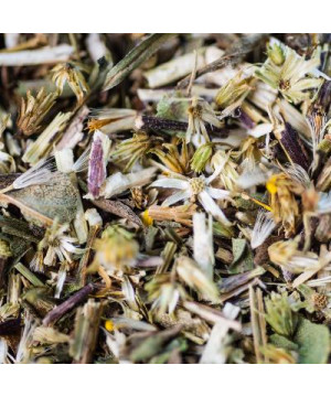 Verge d'or bio partie aerienne 30g de Herboristerie et Esotérisme à Libourne dans 🫖 Thés, tisanes et infusions
