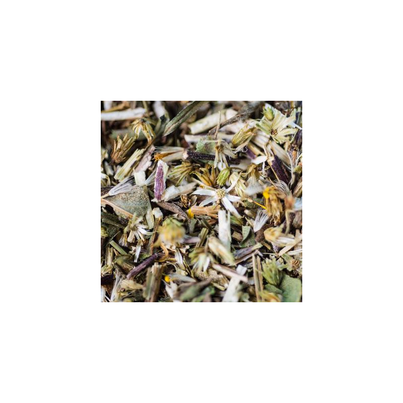 Verge d'or bio partie aerienne 30g de Herboristerie et Esotérisme à Libourne dans 🫖 Thés, tisanes et infusions