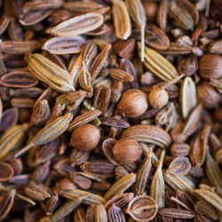 Tisane ventre plat bio 100g de Herboristerie et Esotérisme à Libourne dans 🫖 Thés, tisanes et infusions