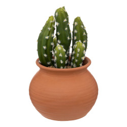 Cactus alicante pot terracotta h16.5cm de J-Line by Jolipa - Déco intérieur dans J031
