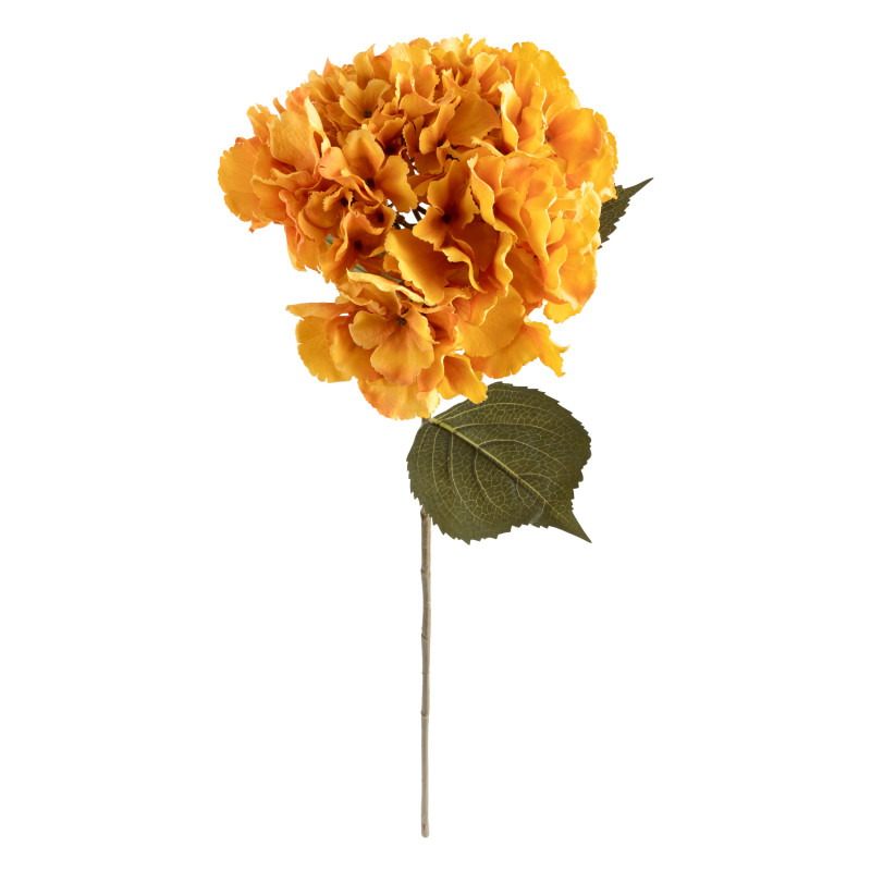 Tige hortensia james ambre h83cm de J-Line by Jolipa - Déco intérieur dans J031