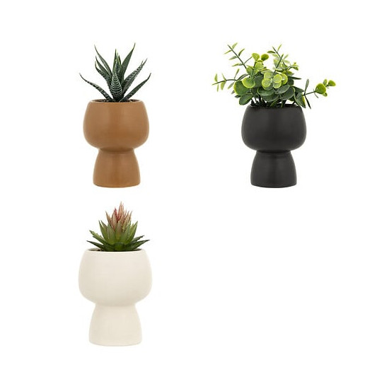 Plante grasse livy h17cm ass de J-Line by Jolipa - Déco intérieur dans J031