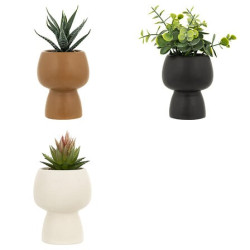 Plante grasse livy h17cm ass de J-Line by Jolipa - Déco intérieur dans J031