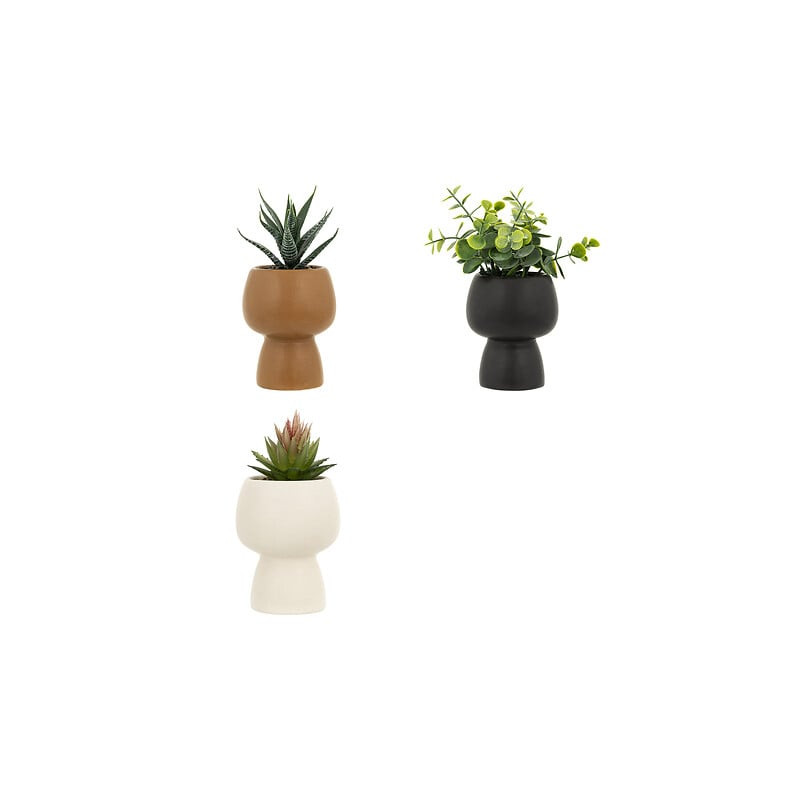 Plante grasse livy h17cm ass de J-Line by Jolipa - Déco intérieur dans J031