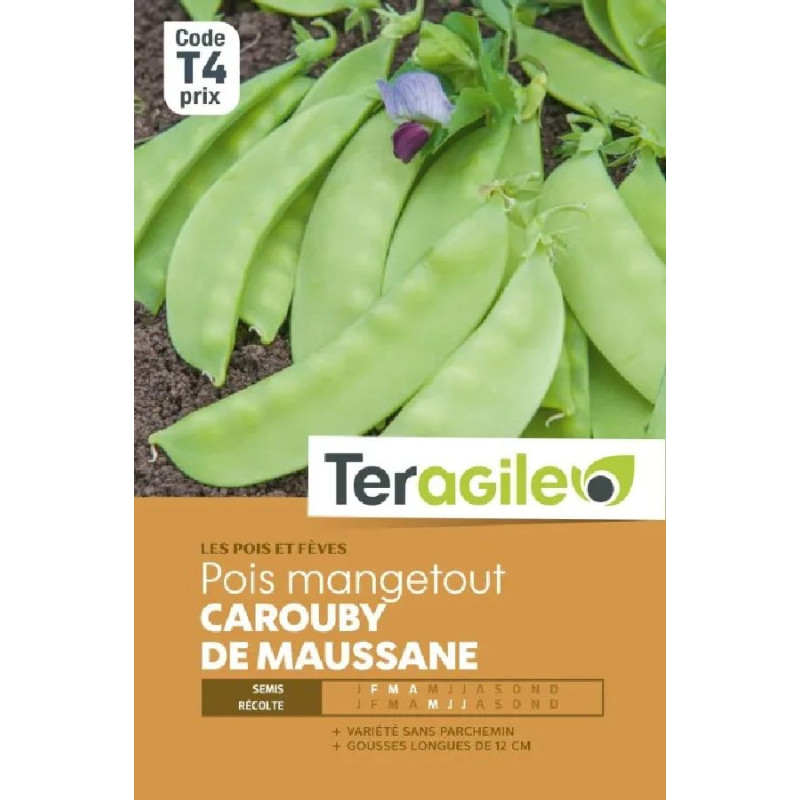 Pois nn mgt carouby maussane 200g t4 ter de Teragile - produits pour le jardin dans C008