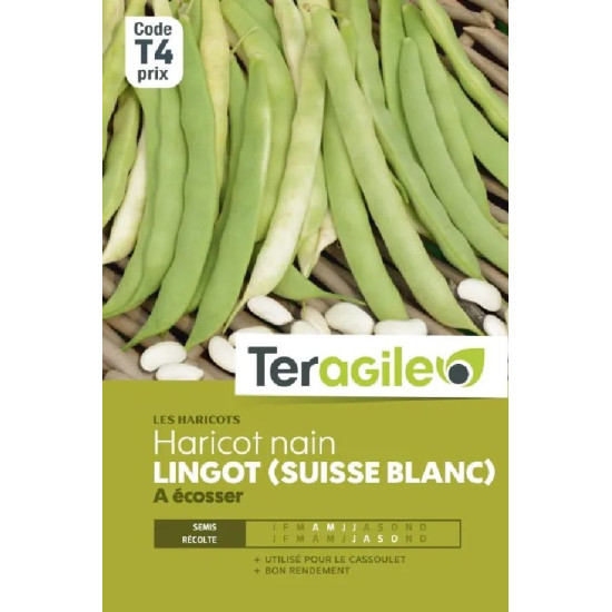Haricot nain a ecosser lingot (suisse blanc) 200 de Teragile - produits pour le jardin dans C008