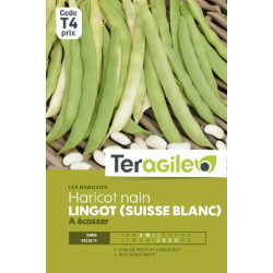 Haricot nain a ecosser lingot (suisse blanc) 200 de Teragile - produits pour le jardin dans C008