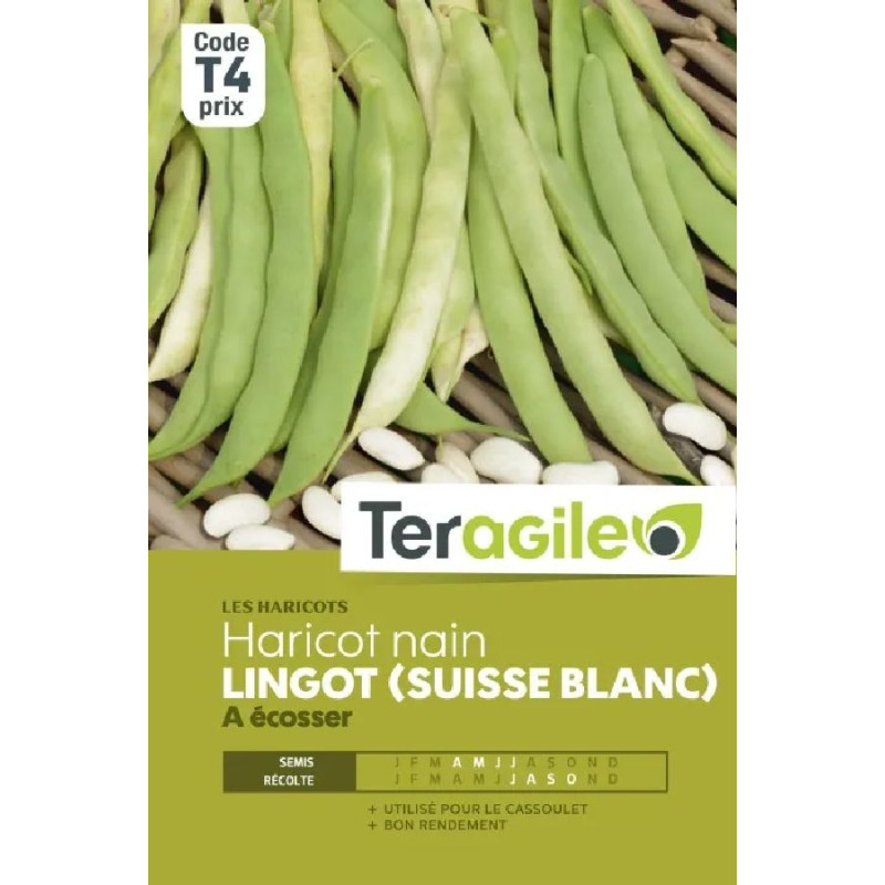 Haricot nain a ecosser lingot (suisse blanc) 200 de Teragile - produits pour le jardin dans C008
