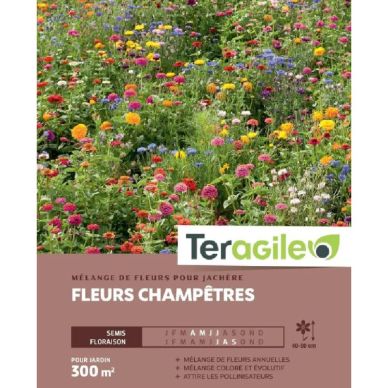 Jachere campagne en fleurs 300m² de Teragile - produits pour le jardin dans C008