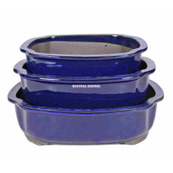 Pot oval pour bonsai bleu 26x21cm de Jardinerie Bordeaux Libourne Gironde dans Pots en terre cuite
