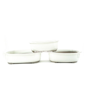 Pot oval pour bonsai creme 29x24cm de Jardinerie Bordeaux Libourne Gironde dans Pots en terre cuite