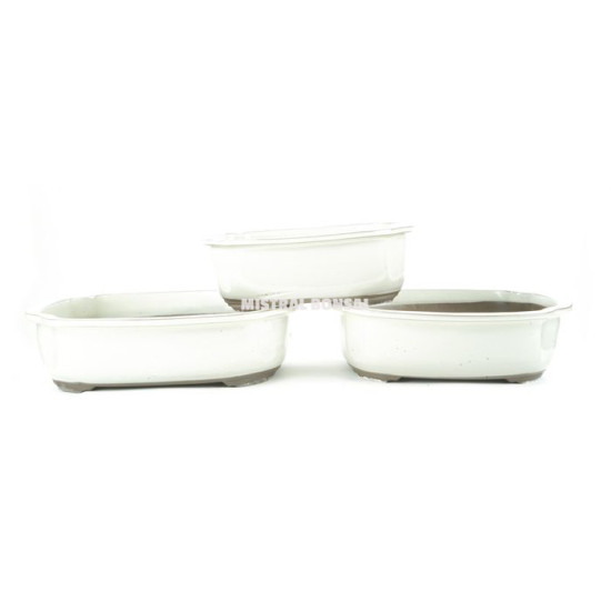 Pot oval pour bonsai creme 29x24cm de Jardinerie Bordeaux Libourne Gironde dans Pots en terre cuite