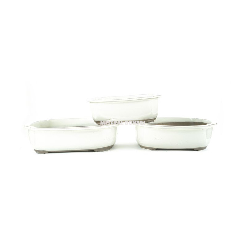 Pot oval pour bonsai creme 29x24cm de Jardinerie Bordeaux Libourne Gironde dans Pots en terre cuite