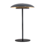 Lampe sardinia 30 rechargeable anthracite de Newgarden, éclairage solaire et à batterie dans N0371