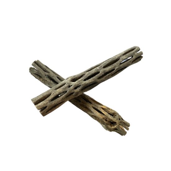 Ecorce de chola pour crevettes de Gioia Shrimp, les lollies dans G0901